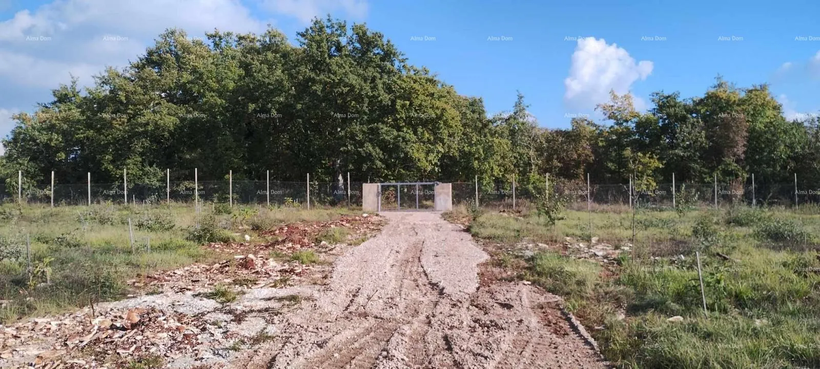 kuća prodaja velikog građevinskog zemljišta sa kućom i građevinskom dozvolom za izgradnju dodatne vile, svetvinčenat - slika 2