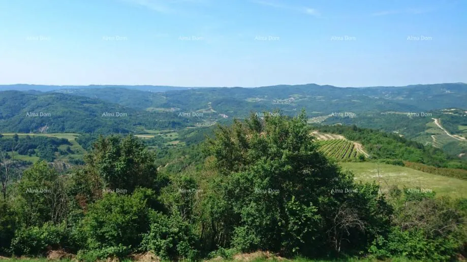 Građevinsko zemljište Građevinsko zemljište 761 m² za vilu s bazenom – Grimalda - Cerovlje