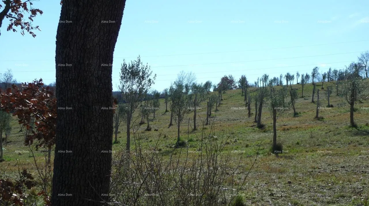 građevinsko zemljište momjan – prodaja građevinskog zemljišta na odličnoj lokaciji. - slika 2