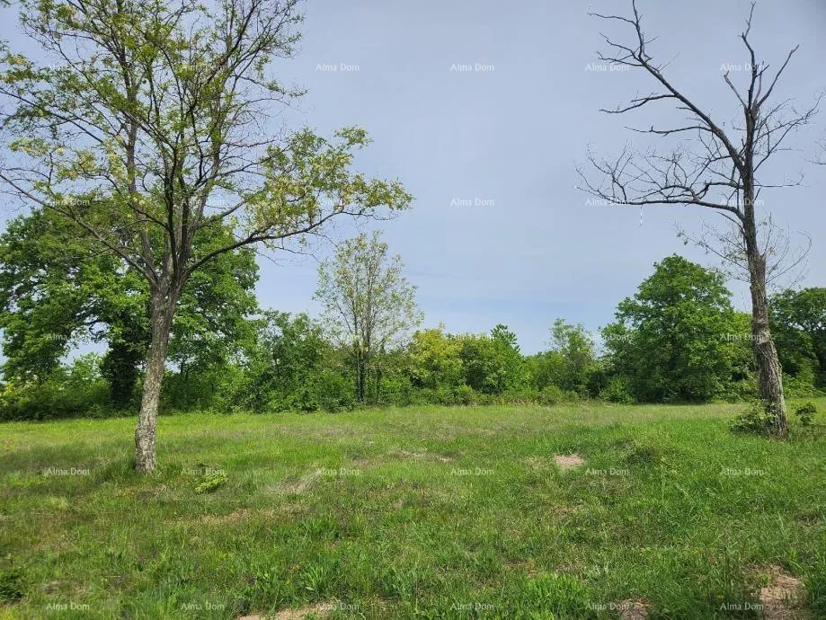 građevinsko zemljište poreč - prodaje se građevinsko zemljište, 12000m2 - slika 8
