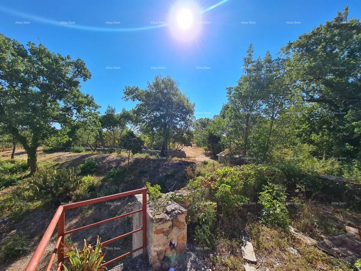 kuća stancija kod vodnjana! veliki teren 6390 m2!! - slika 14