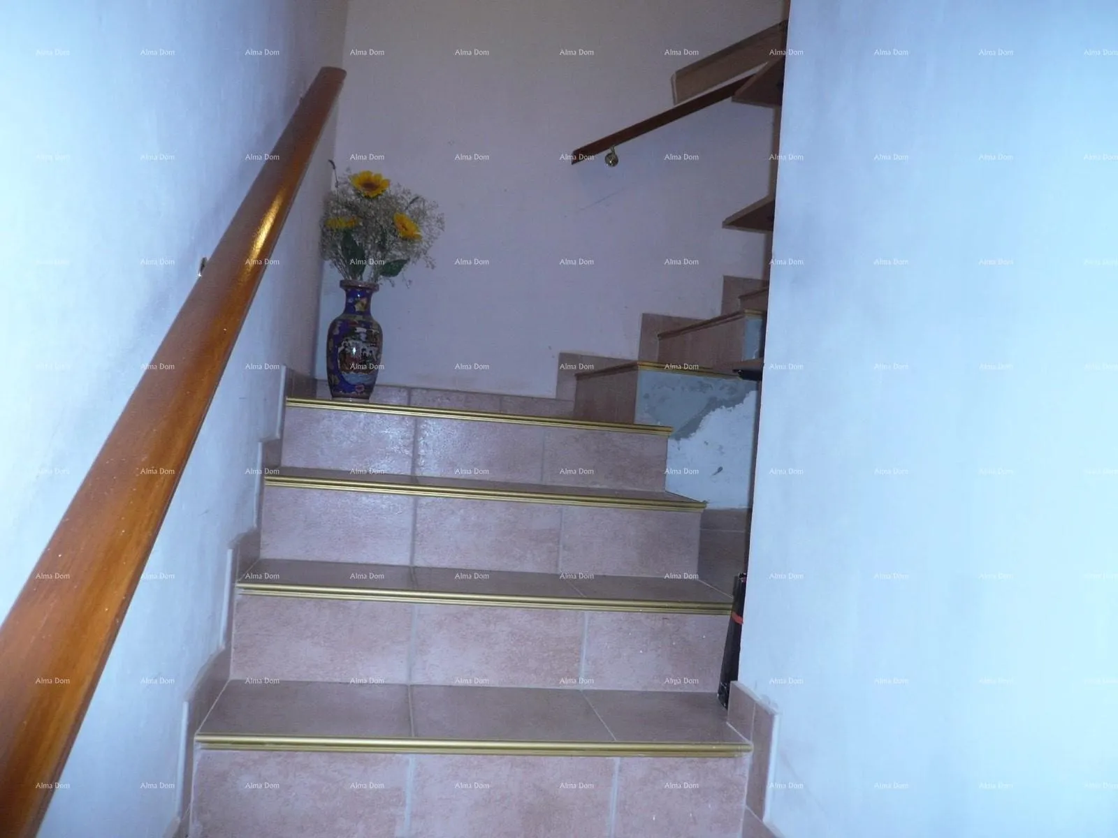 kuća prodaje se kuća sa šumom u kašteliru - slika 2