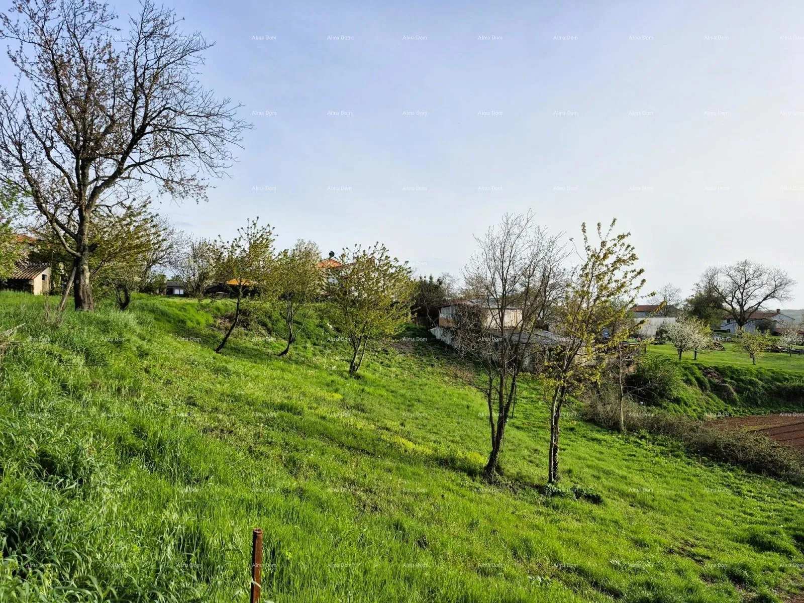 Građevinsko zemljište Građevinsko zemljište 1.730 m² – Barban