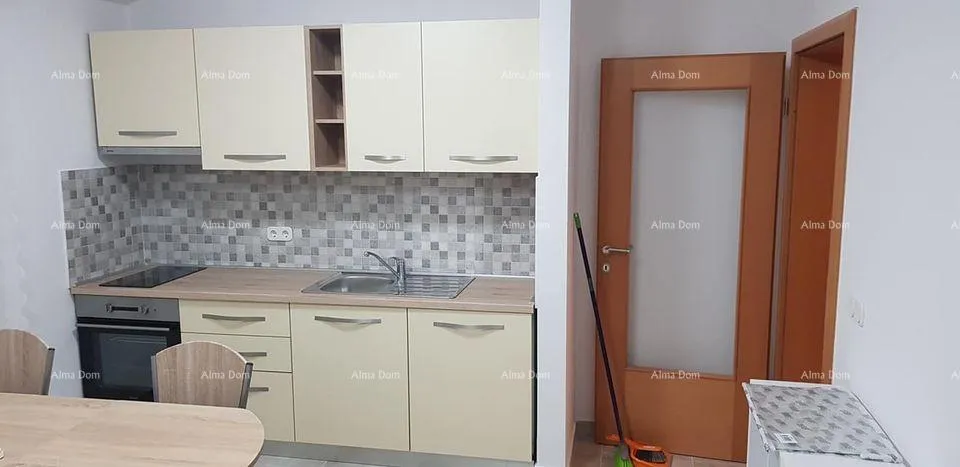 stan prodaja velikog stana sa vrtom, tar, vabriga! - slika 3