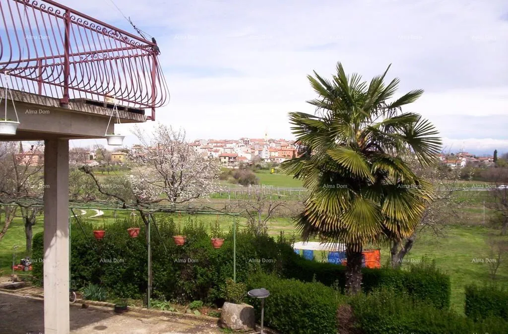 kuća kuća s tri stana i velikim zemljištem okružena vinogradima i maslinicima - slika 5