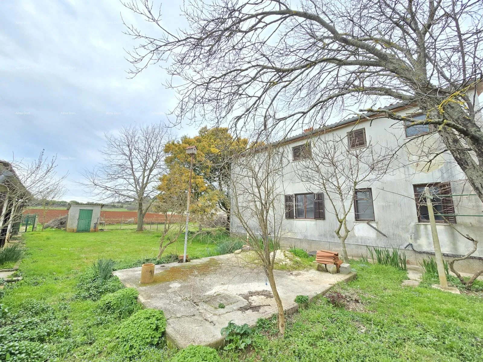 kuća prostrana kuća u blizini pule ! dva stana- 2500 m² zemljišta! - slika 12