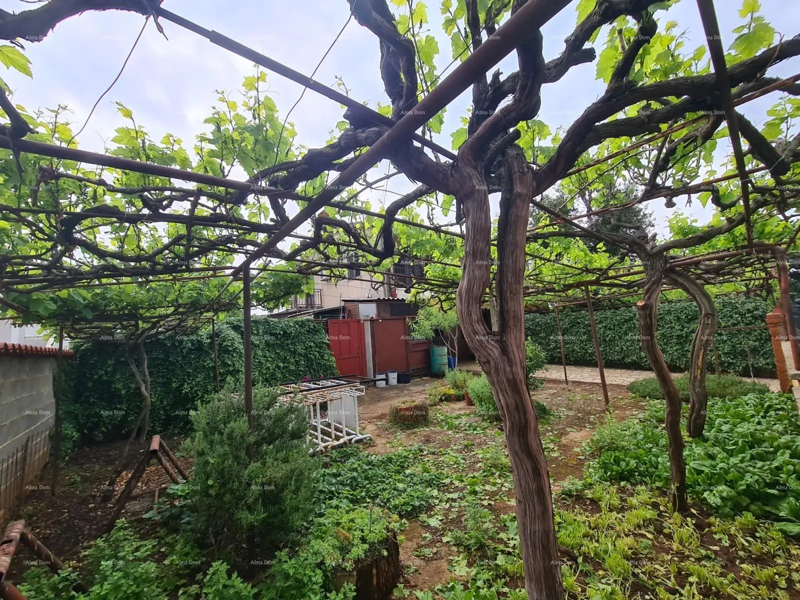 kuća prodaje se kuća sa velikim dvorištem, jadreški - slika 13