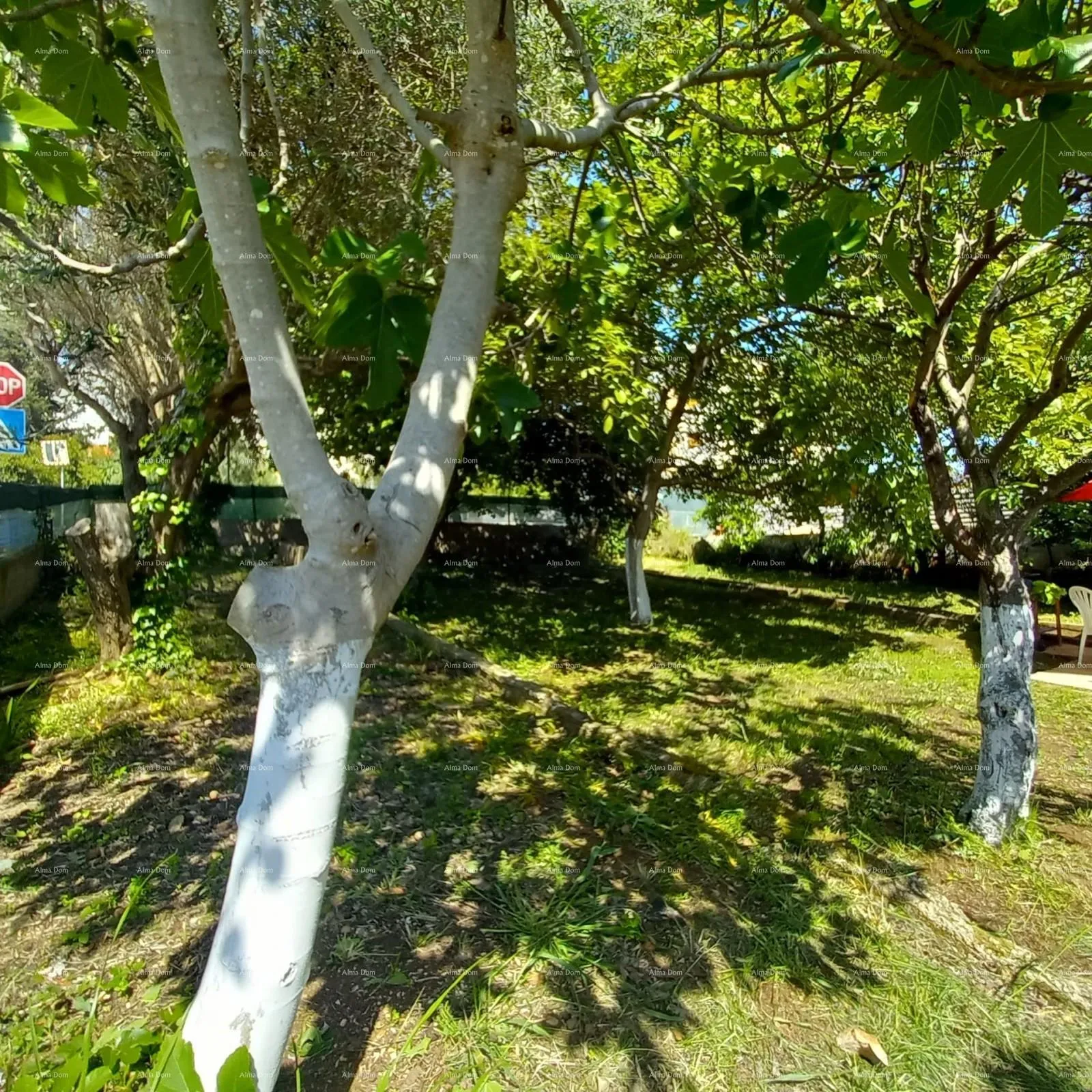 kuća pula! prizemnica s velikim vrtom i terasom. - slika 19