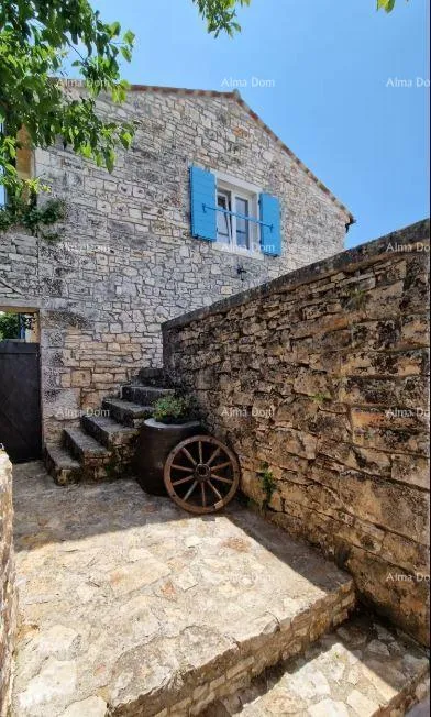 kuća renovirana istarska kamena kuća s bazenom. lovreč. - slika 9