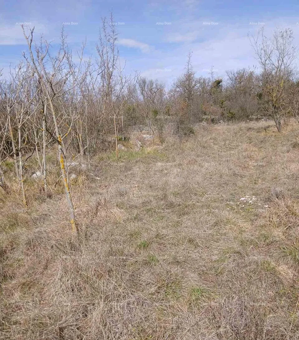 Građevinsko zemljište PRODAJA GRAĐEVINSKOG ZEMLJIŠTA, 6.230 m²– PLOVANIJA (BUJE)