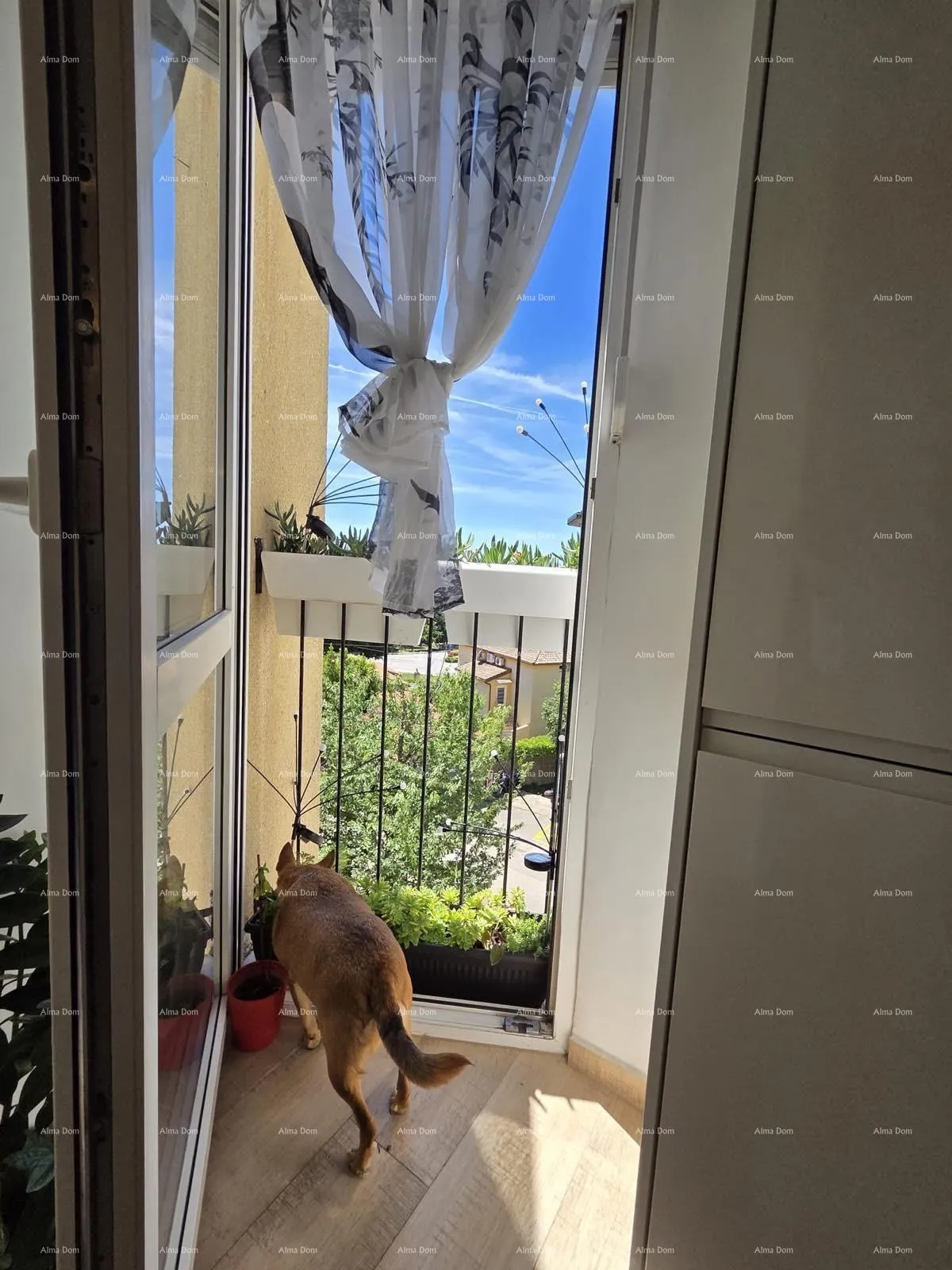 stan pula, vidikovac, renoviran stan 52 m² - slika 13