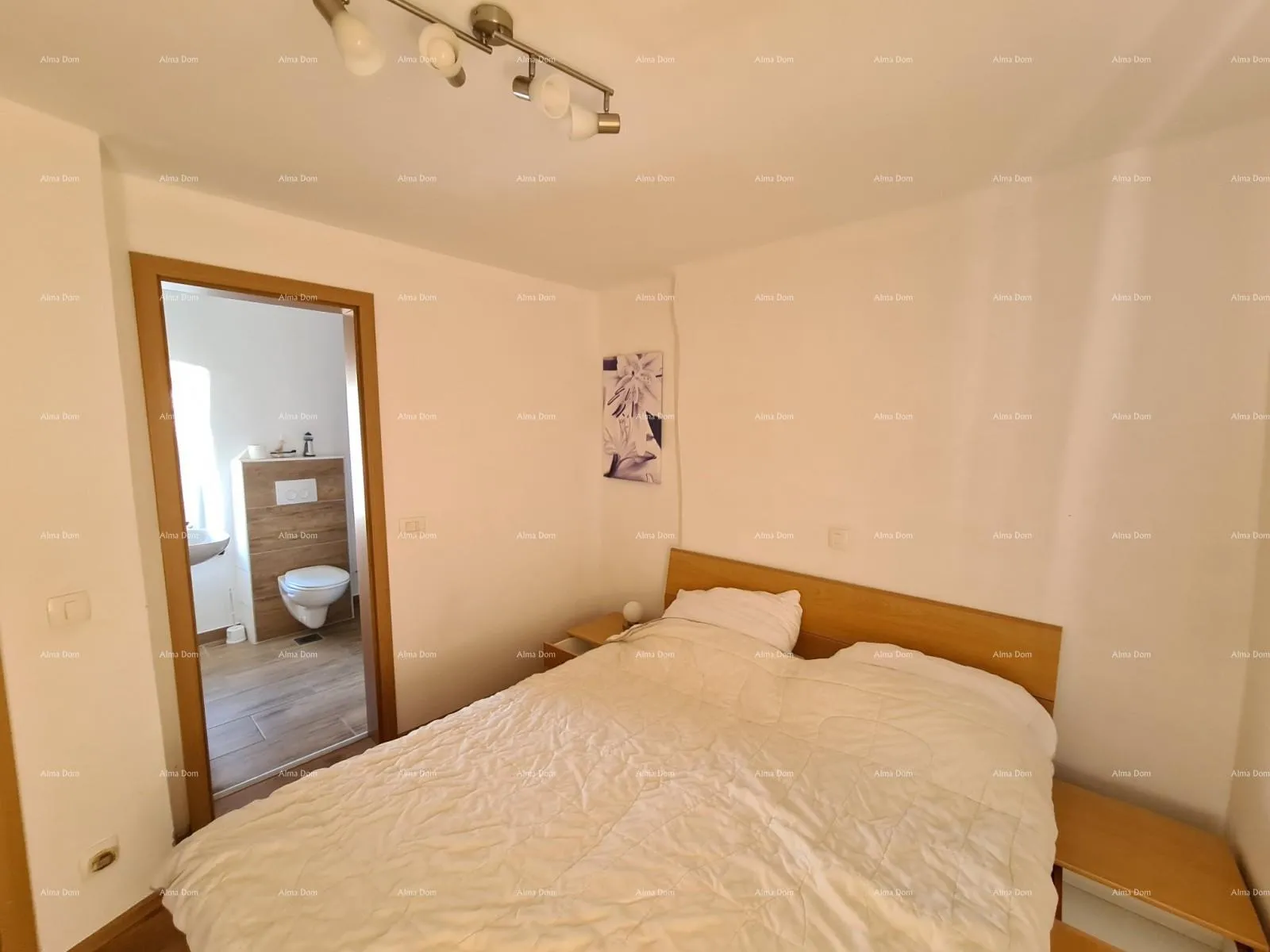 kuća ližnjan,istarska renovirana kuća! - slika 47