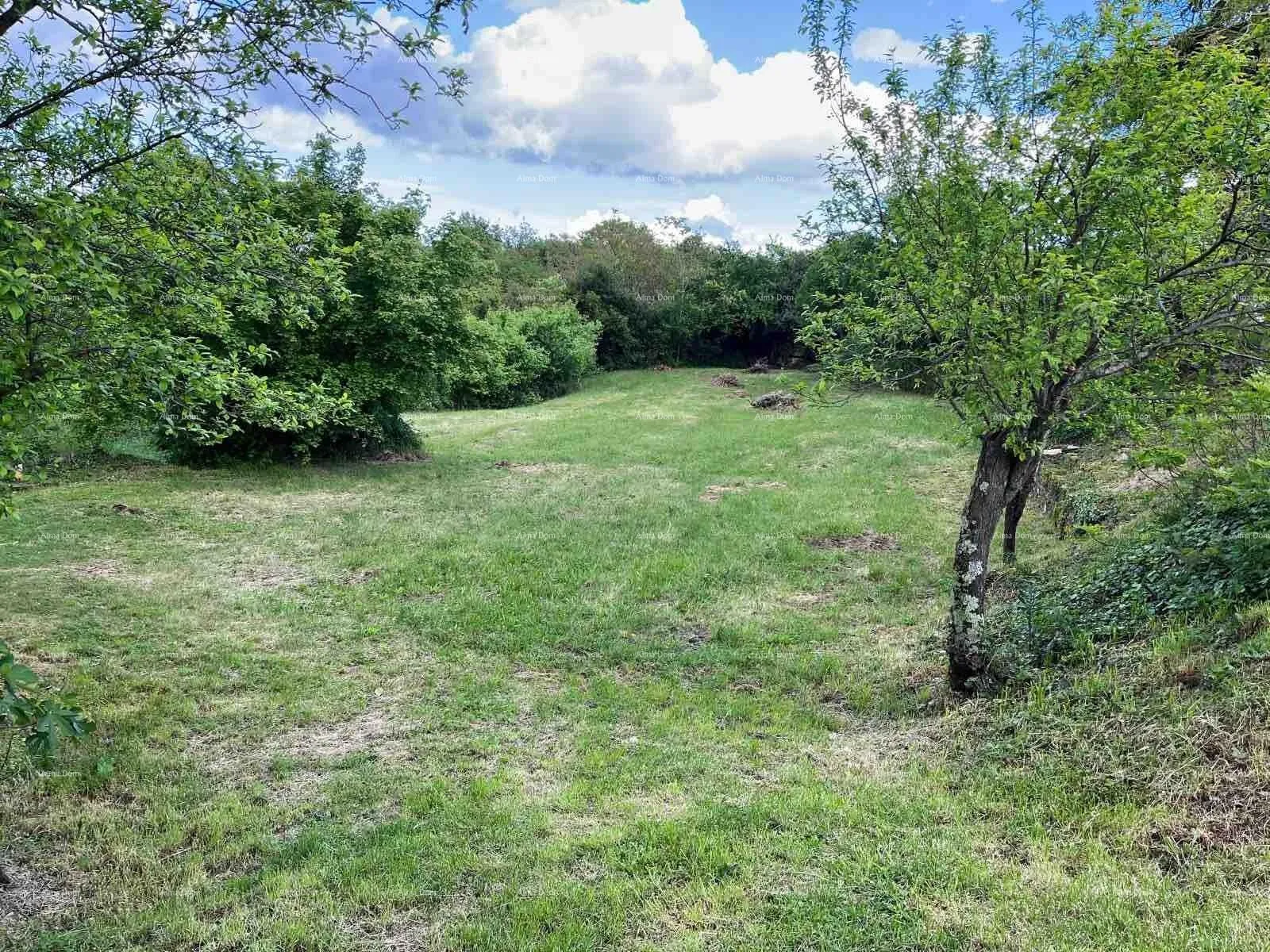 građevinsko zemljište prodaje se građevinsko zemljište, 1137 m2, kanfanar - slika 3