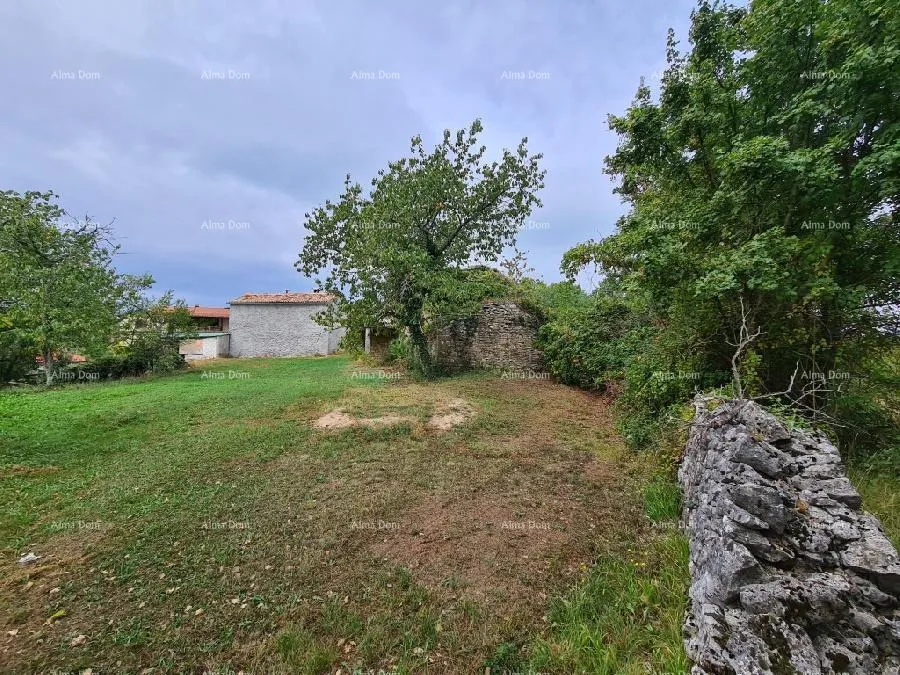 kuća stare ruševne kuće na velikom terenu od 6880 m2. - slika 4