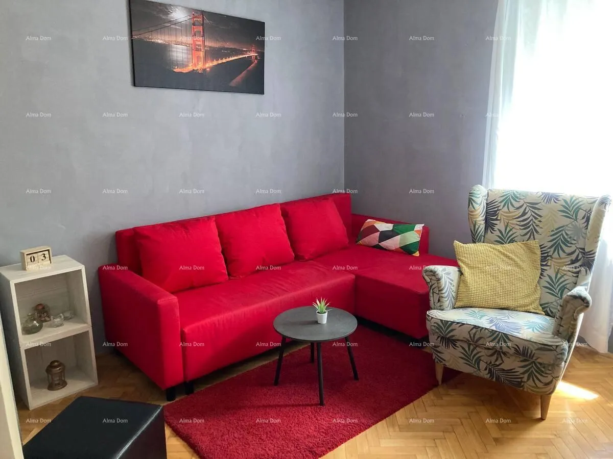 kuća premantura! kuća s dva apartmana! - slika 3