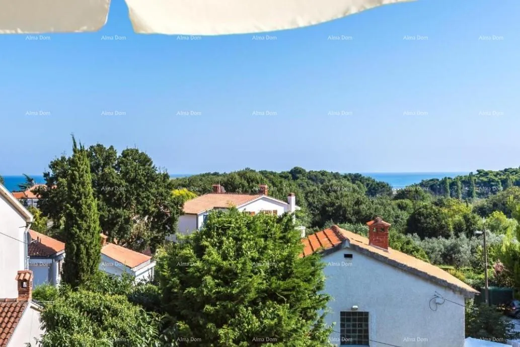 kuća kuća s apartmanima i bazenom u premanturi – pogled na more! - slika 15
