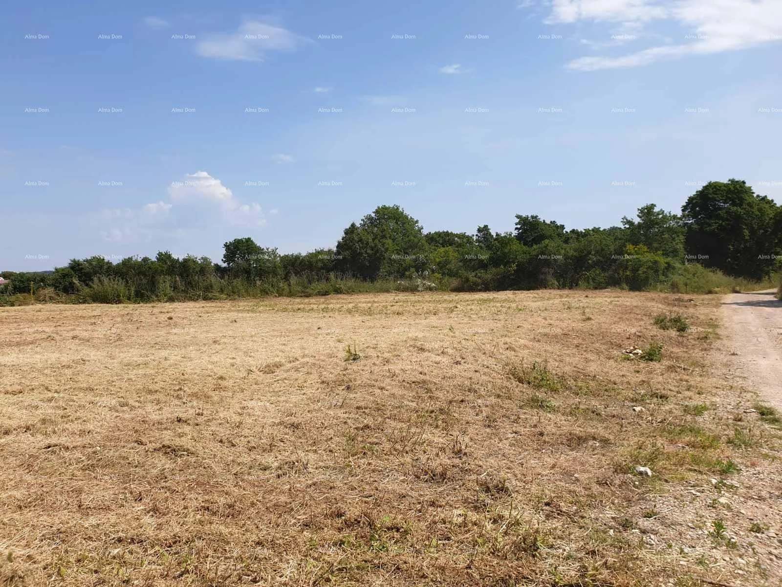 građevinsko zemljište prostrana građevinska parcela od 1700 m² u šišanu - idealna prilika za vaš dom ili investiciju - slika 3