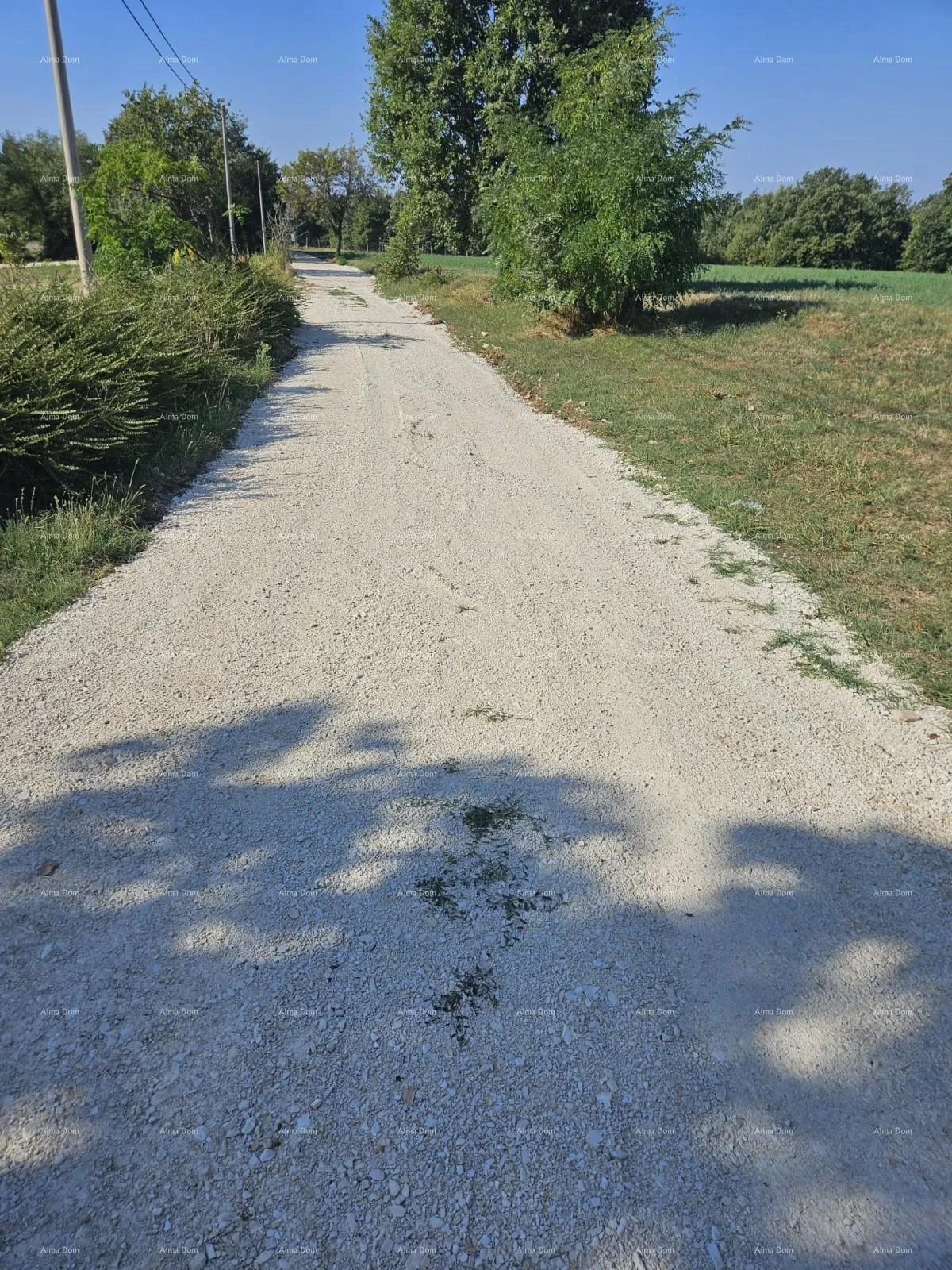 građevinsko zemljište prodaja građevinskog zemljišta, žminj - slika 8