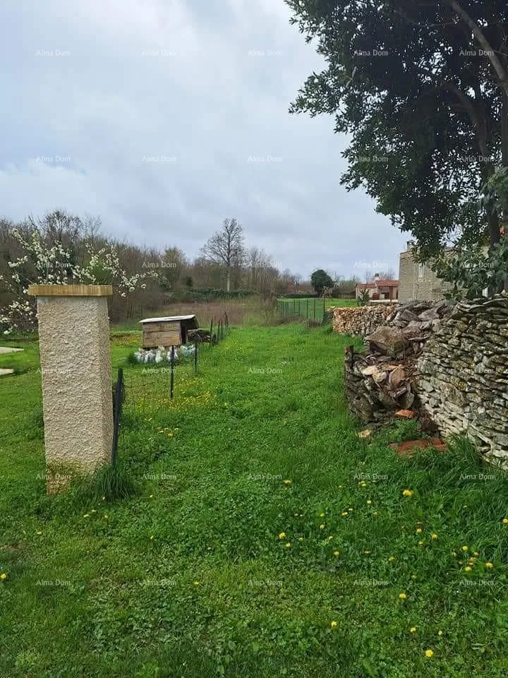 građevinsko zemljište prodaje se građevinsko i poljoprivredno zemljiste, blizu žminja - slika 5