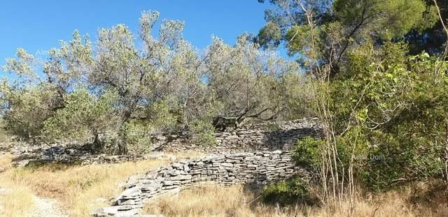 građevinsko zemljište prodaja građevinskog zemljišta, korčula - slika 3