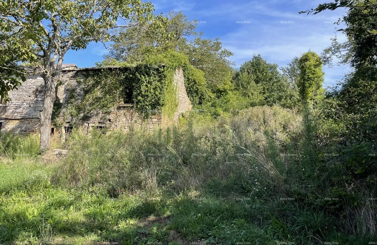 kamena kuća prodaja - kamena istraska kuća za renovaciju s velikim zemljištem, oprtalj! - slika 3