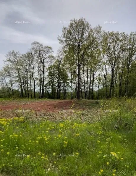 građevinsko zemljište prodaje se građevinsko zemljište s projektom – barban (1.010 m²) - slika 2