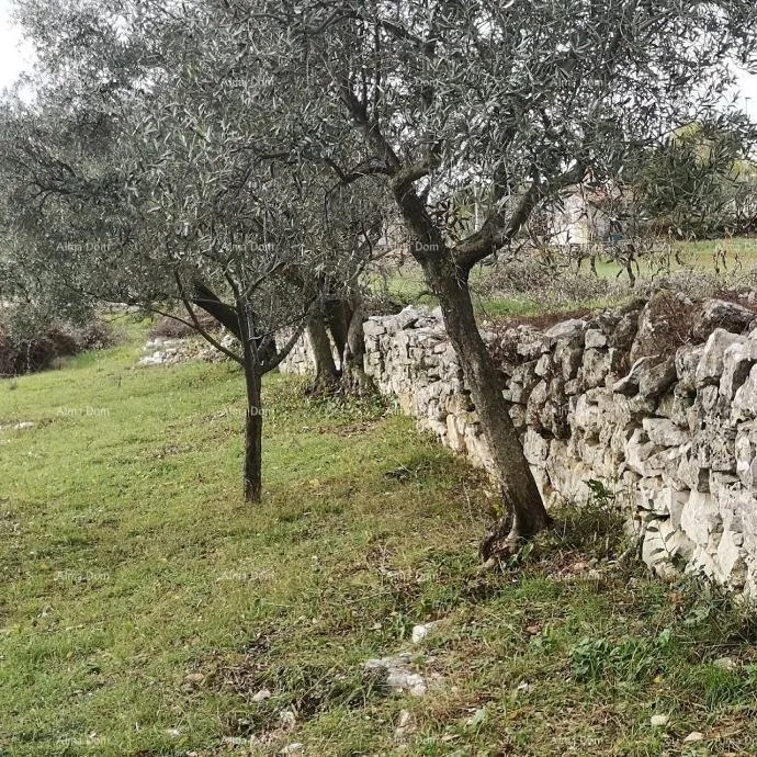 građevinsko zemljište prodaja građevinskog zemljišta sa pogledom na more, fažana! - slika 4
