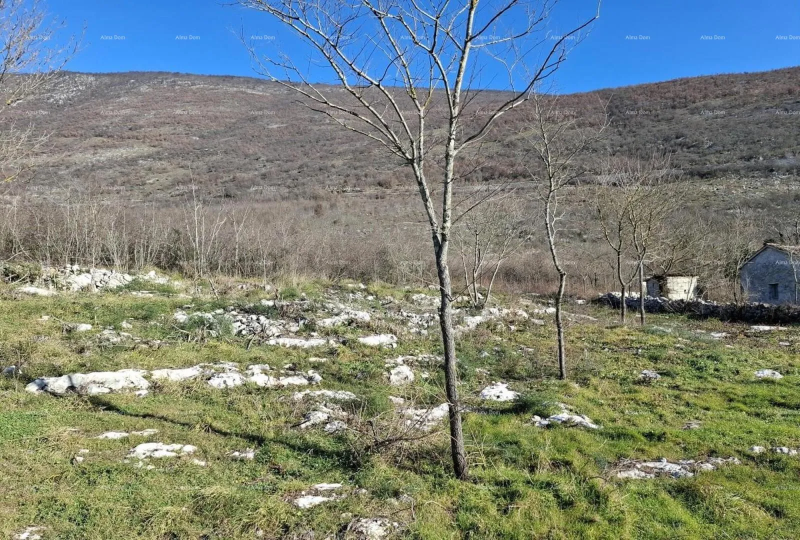 građevinsko zemljište jesenovik, građevinsko zemljište u podnožju parka prirode učka – više parcela s pogledom na prirodu - slika 3