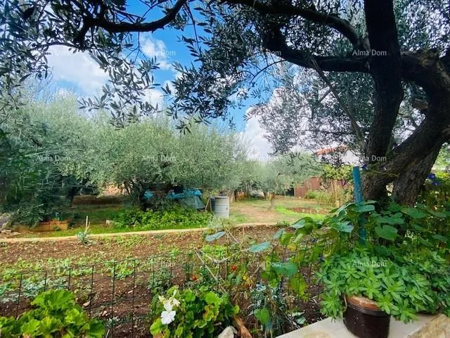 kuća prostrana, namještena kuća u puli s velikim dvorištem i brojnim mogućnostima - slika 6