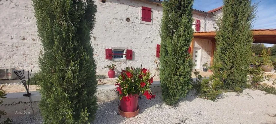 kuća prodaja: dvije povezane kuće s velikim dvorištem, blizina kanfanara - slika 3