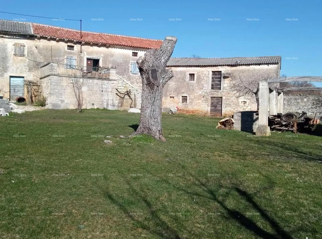 Kuća Pazin, Istra - dvije stare kamene kuće s velikim zemljištem