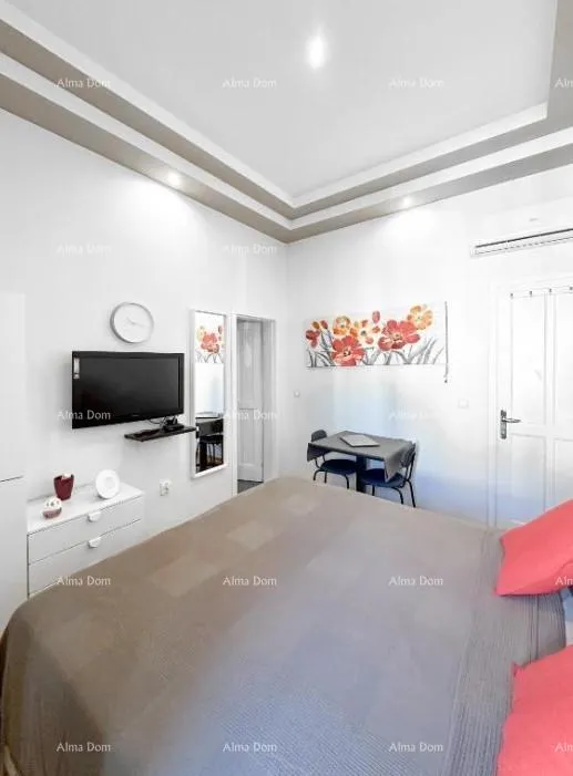 stan luksuzan stan u srcu pule – 122 m². pješačka zona. - slika 15