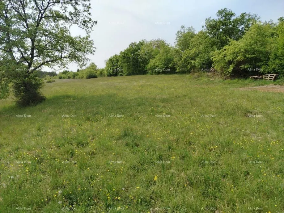 Građevinsko zemljište Građevinsko zemljište 3.528 m² , u blizini Grožnjana