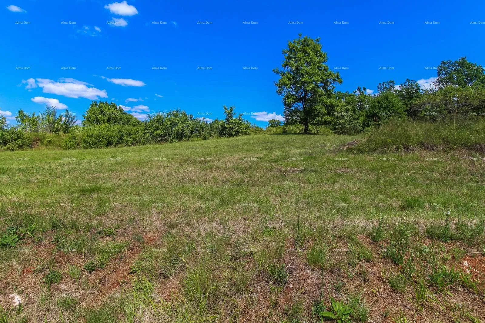 građevinsko zemljište prodaja građevinskog zemljišta s otvorenim panoramskim pogledom, oprtalj! - slika 4
