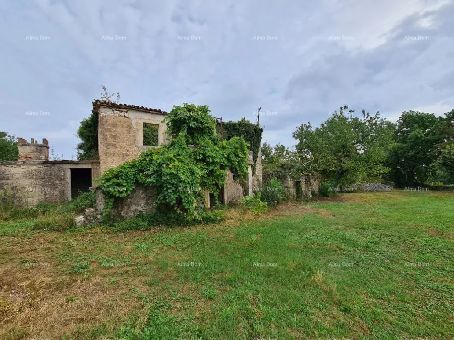 kuća stare ruševne kuće na velikom terenu od 6880 m2. - slika 8