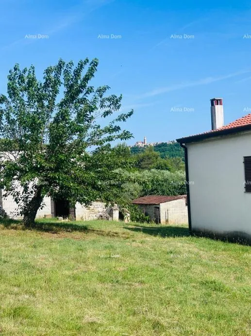 kuća buje – samostojeća kuća s maslinikom i građevinskim zemljištem - slika 6