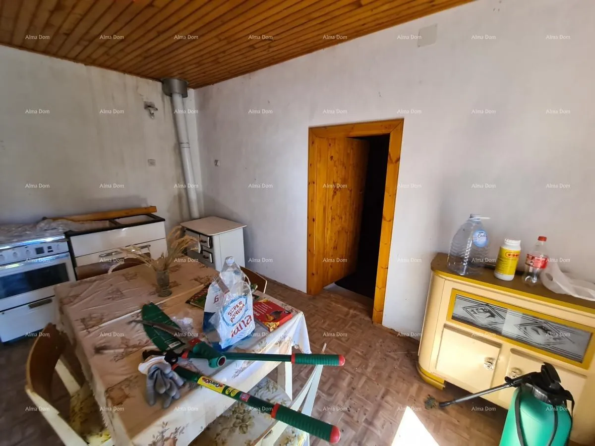 kuća stancija kod vodnjana! veliki teren 6390 m2!! - slika 12