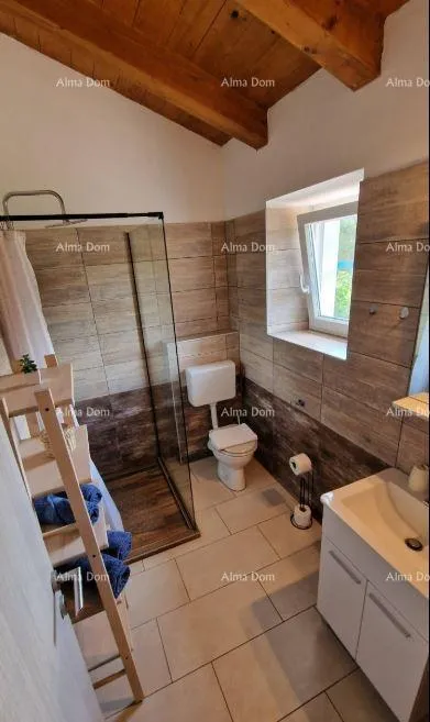 kuća renovirana istarska kamena kuća s bazenom. lovreč. - slika 28