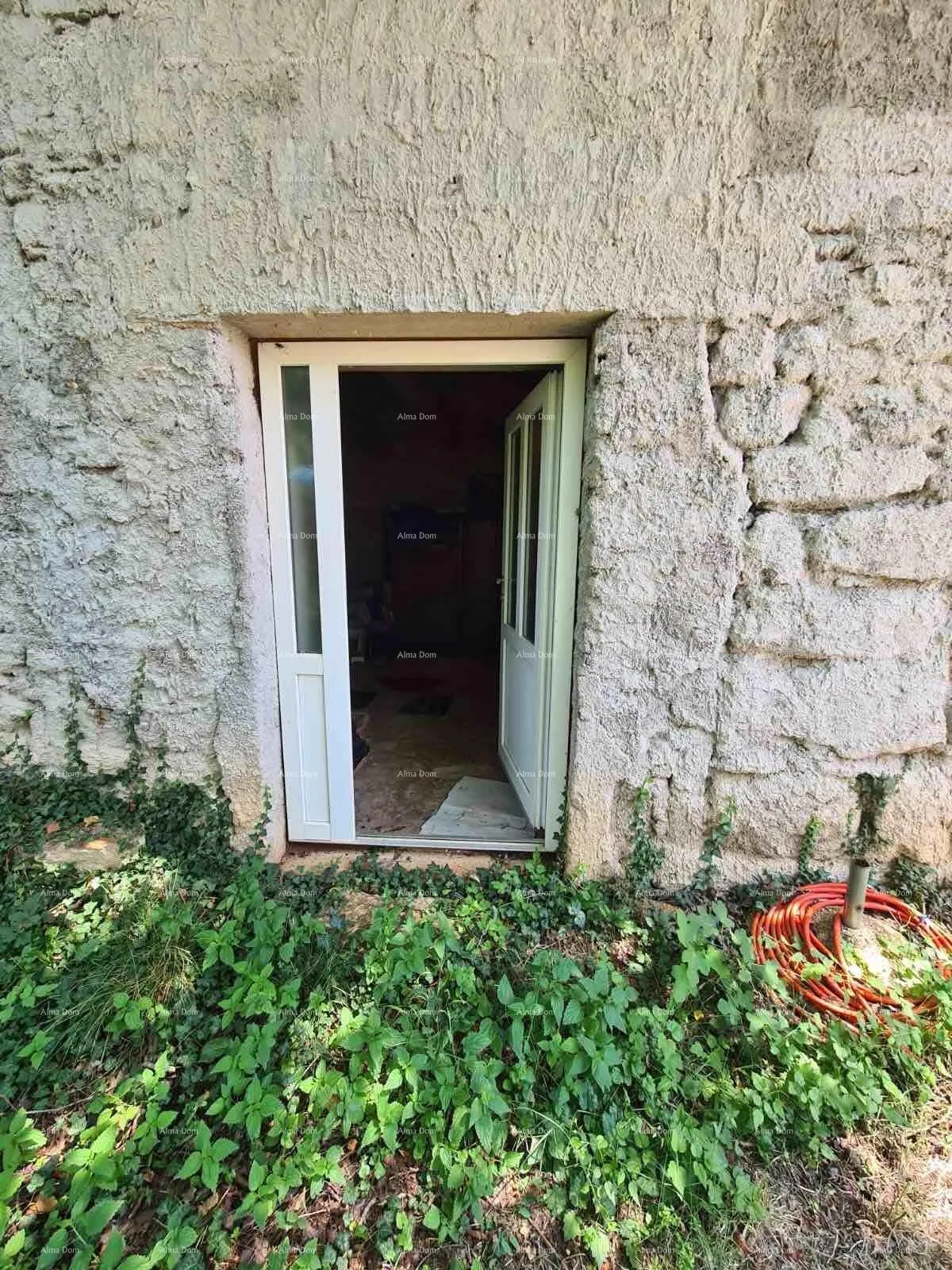 kuća prodaja kuće sa dvorištem i velikim zemljištem, barban - slika 22