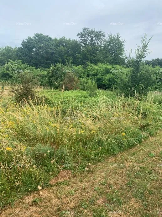 građevinsko zemljište pazin – građevinsko zemljište 940 m² u mirnom okruženju - slika 3