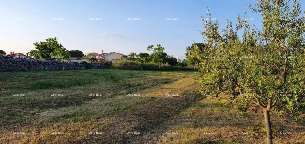građevinsko zemljište marčana filipana - građevinski teren - slika 2