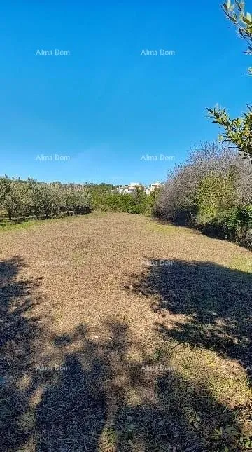 Građevinsko zemljište Premantura – građevinsko zemljište 1.793 m² - Premantura, Medulin