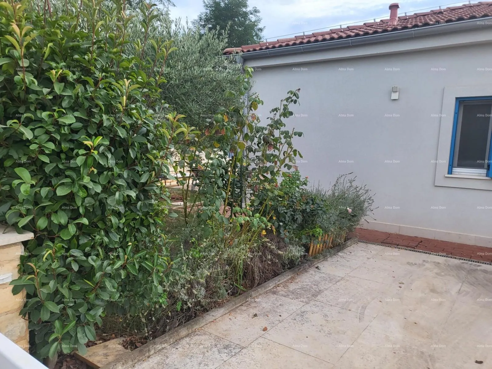 kuća novigrad, prizemnica s bazenom - slika 6