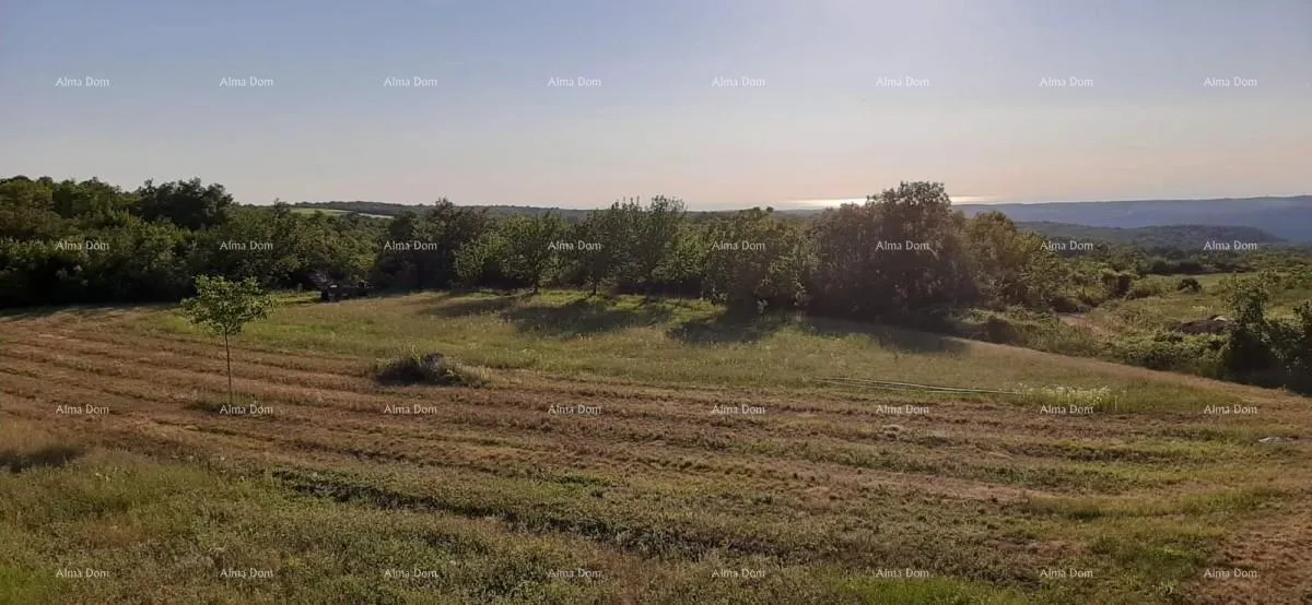 građevinsko zemljište prodaja građevinskog zemljišta. vižinada. - slika 4