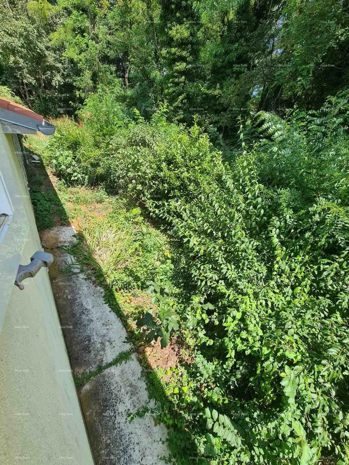 kuća prodaja kuće sa dvorištem i velikim zemljištem, barban - slika 20
