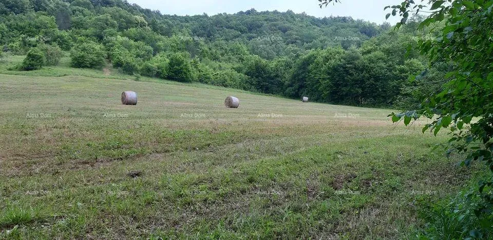 kuća prodaja- veliko imanje/stancija u središnjoj istri, pazin! investicijska prilika! - slika 4