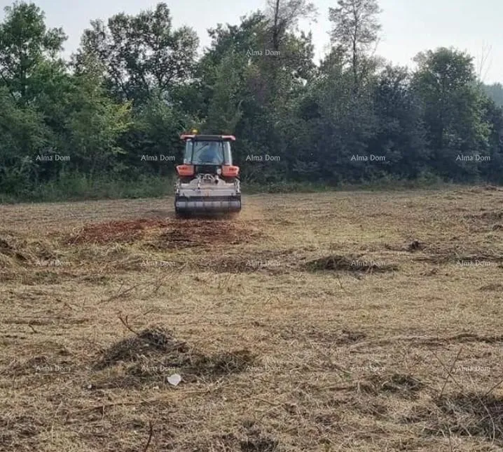 građevinsko zemljište brtonigla. građevinsko zemljište. - slika 5