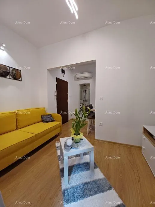 stan pula, 2-sobni stan u centru, 31 m² + terasa i vrt - slika 3