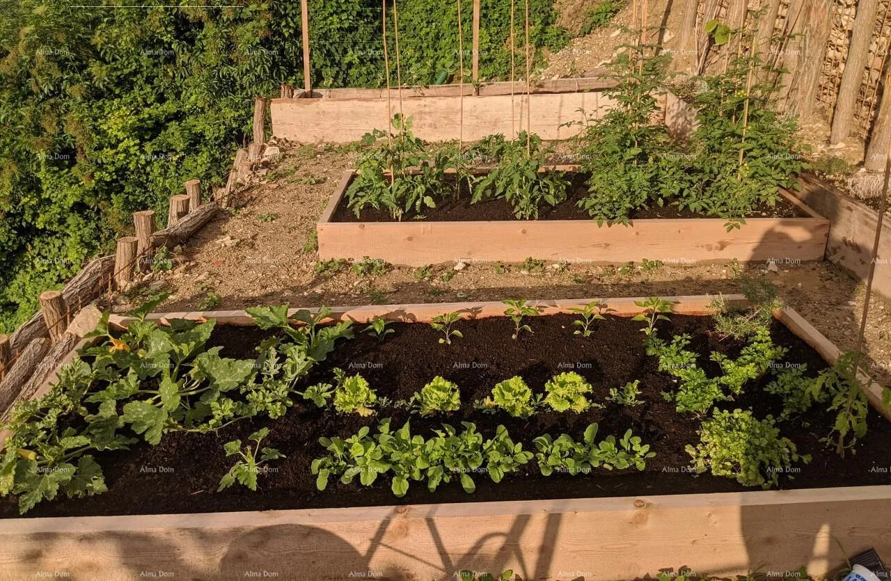 kuća prekrasna renovirana kuća s pogledom i poslovnim prostorom - slika 5