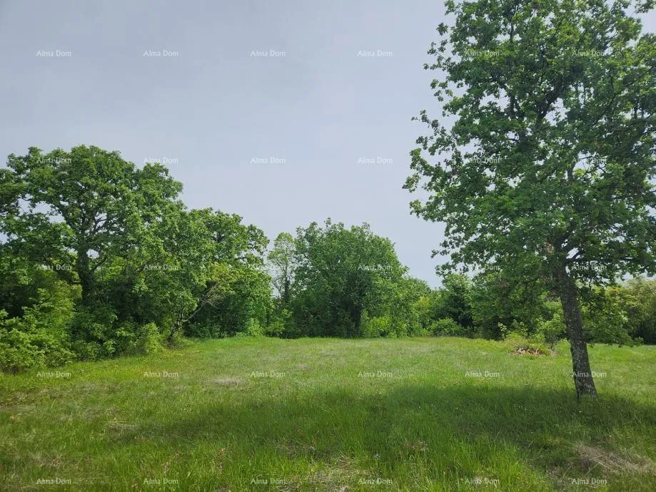 građevinsko zemljište poreč - prodaje se građevinsko zemljište, 12000m2 - slika 5